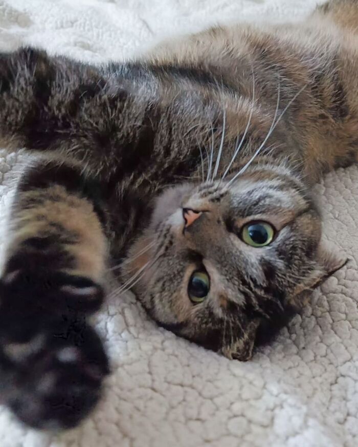     ! ,  ,   , ,  ,  , ,  , ,  , ,   ,  ,  , ,  