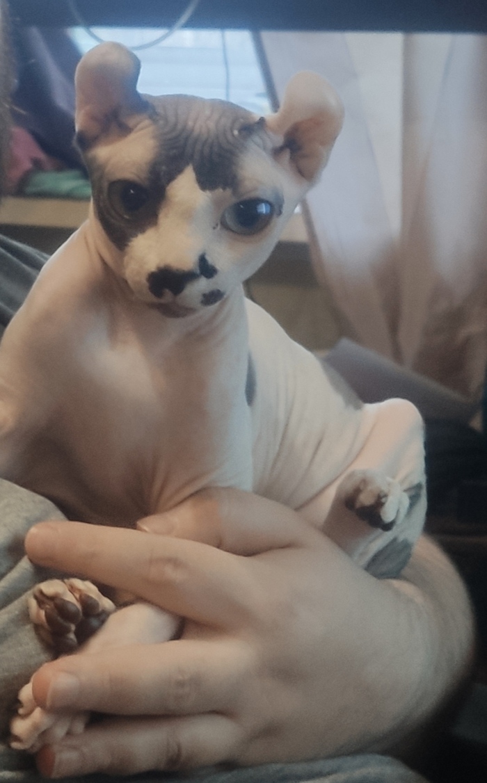   ,  ! ,  , , , ,  