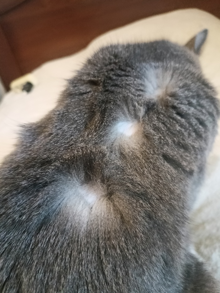  ,     ,  (),   , ,  , , , 