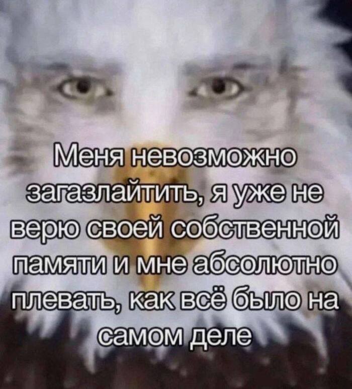    , , , , ,   , , , ,  , , , Telegram ()